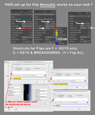 Flips_Manual_shortcut_keys.png