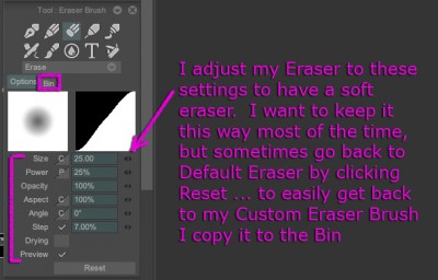 Customized Eraser Brush.jpg