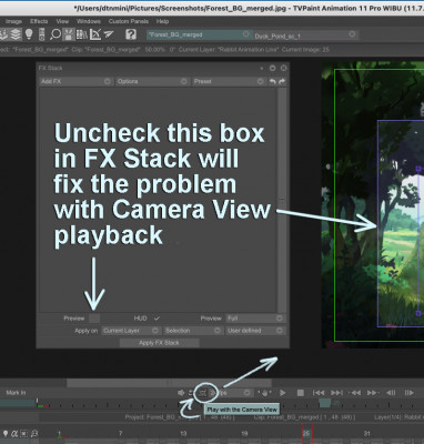 FX Stack Preview and Camera View Playback.jpg